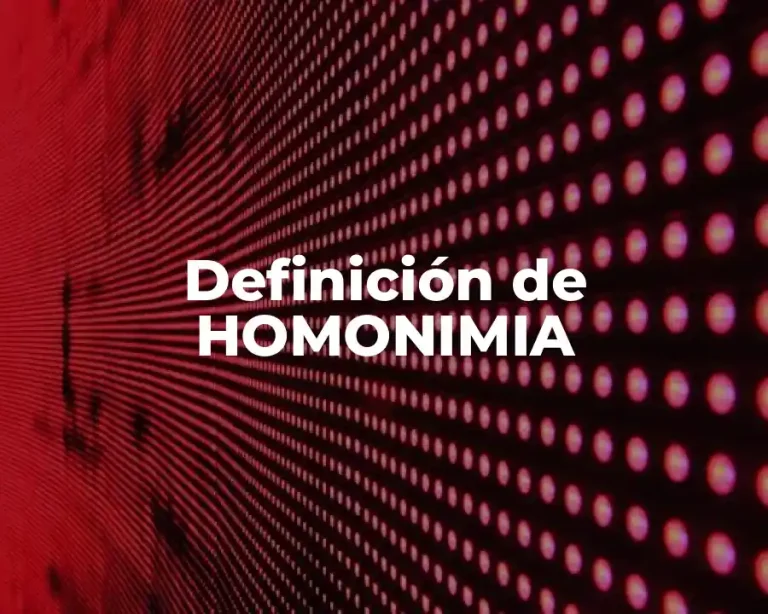 Definición de HOMONIMIA