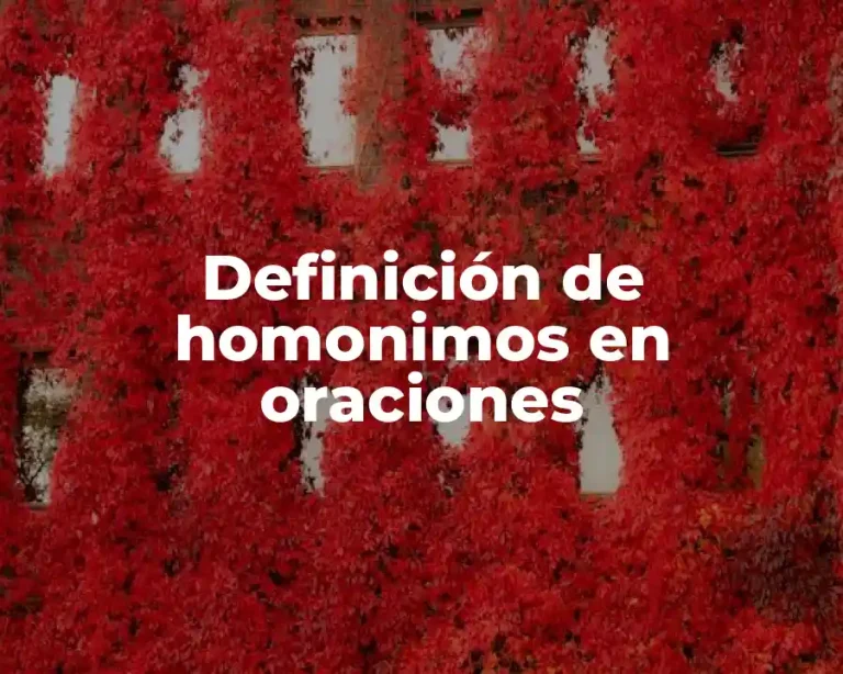 Definición de homonimos en oraciones