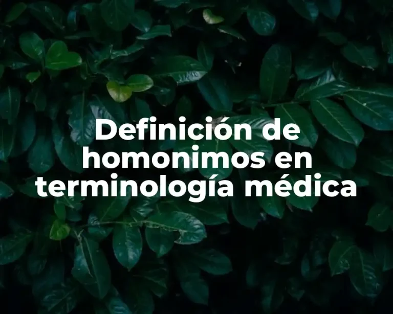 Definición de homonimos en terminología médica