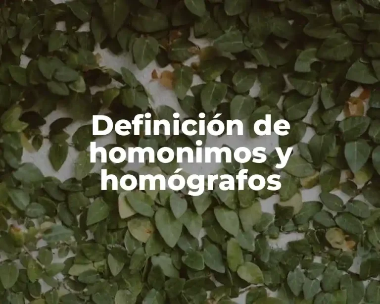 Definición de homonimos y homógrafos