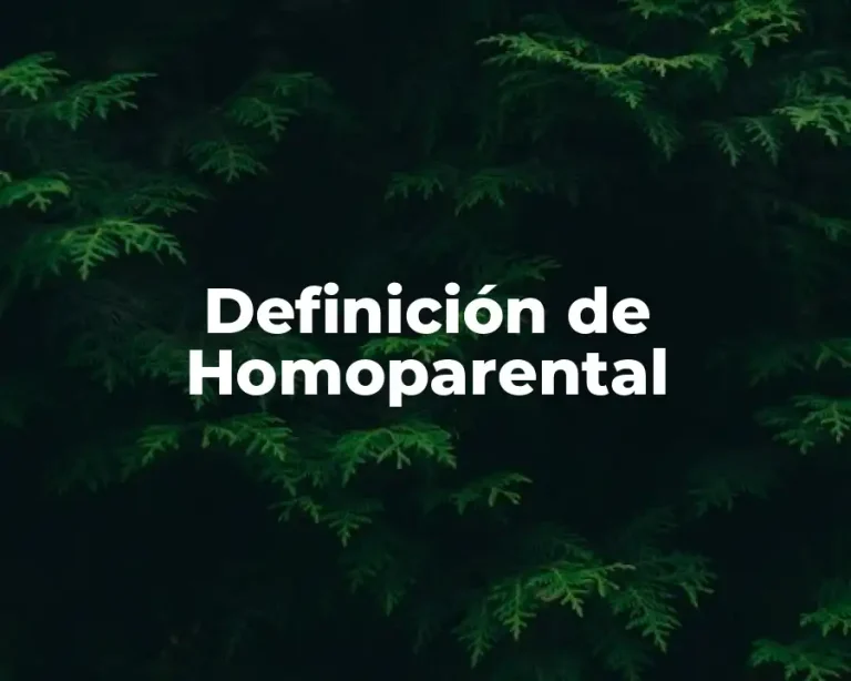 Definición de Homoparental