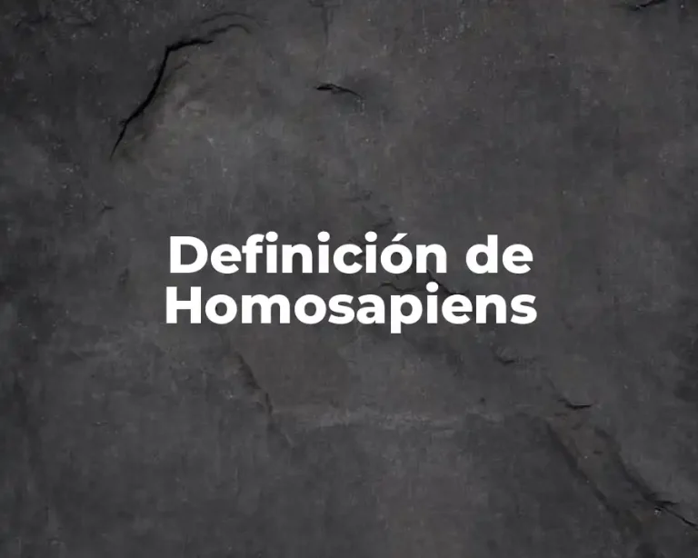 Definición de Homosapiens