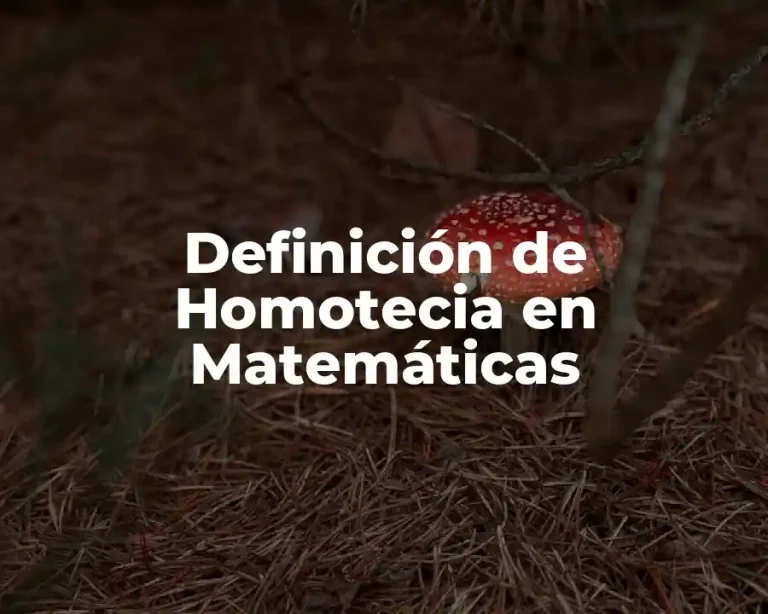 Definición de Homotecia en Matemáticas