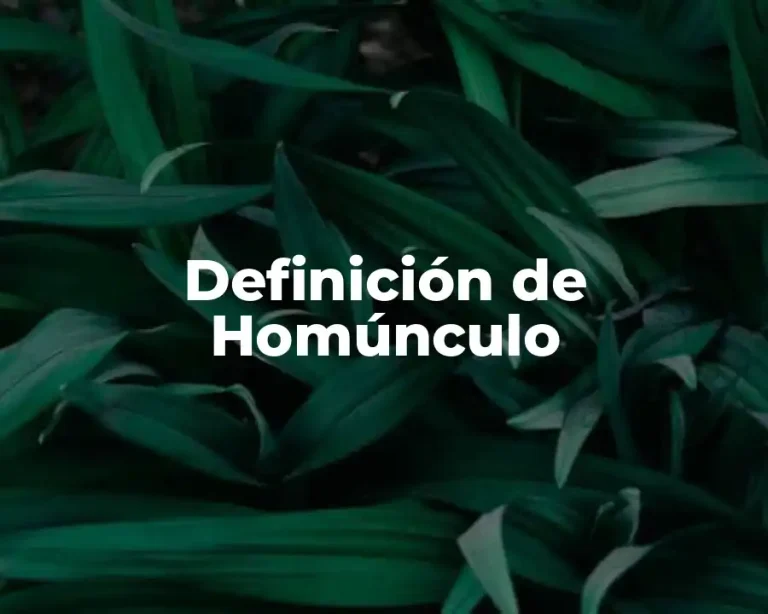 Definición de Homúnculo