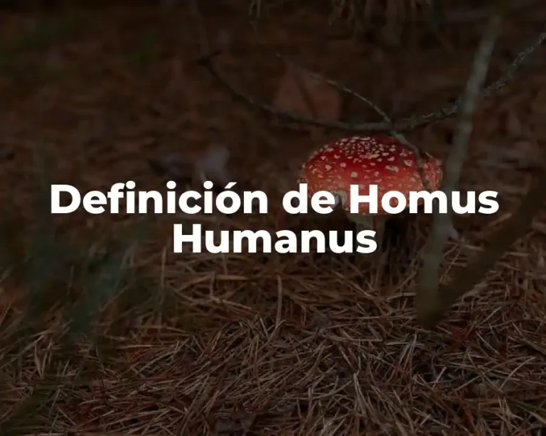 Definición de Homus Humanus