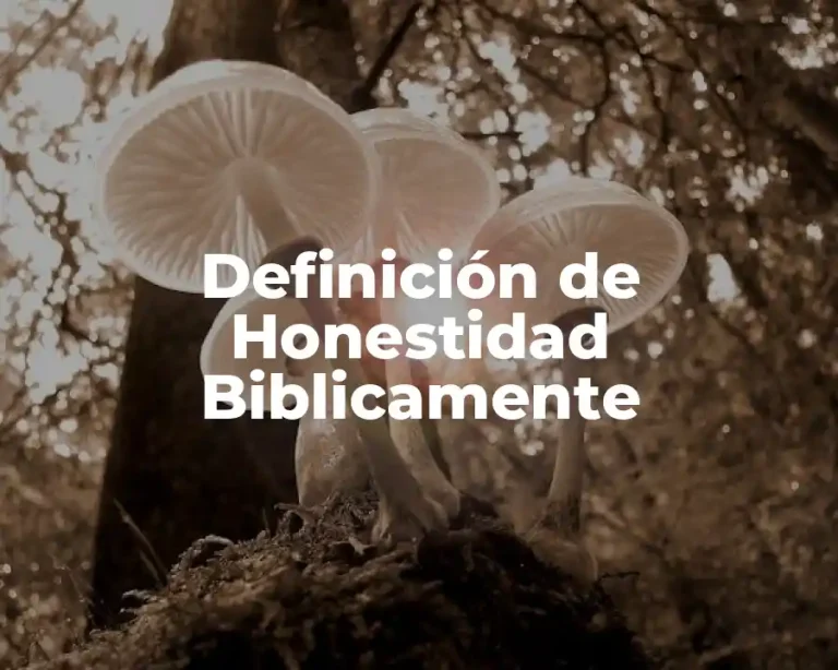 Definición de Honestidad Biblicamente