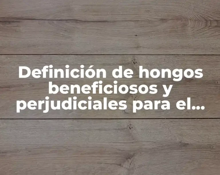 Definición de hongos beneficiosos y perjudiciales para el hombre