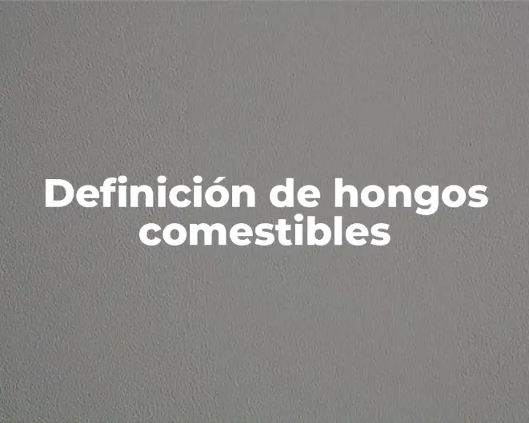 Definición de hongos comestibles
