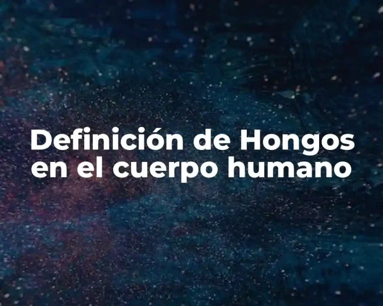 Definición de Hongos en el cuerpo humano