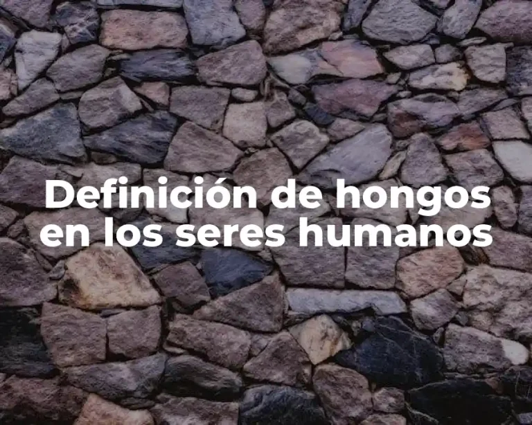Definición de hongos en los seres humanos