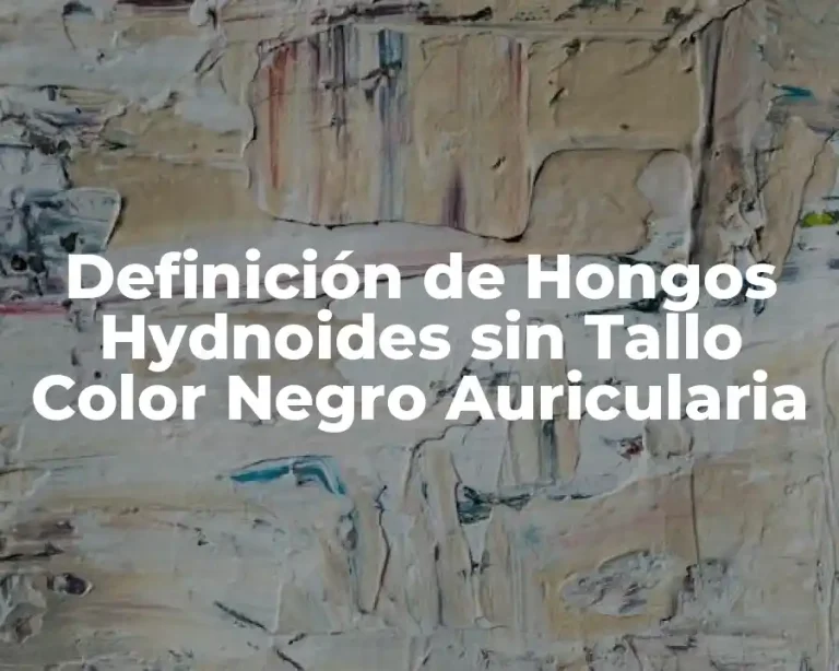 Definición de Hongos Hydnoides sin Tallo Color Negro Auricularia