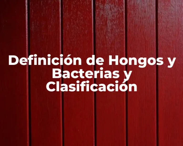 Definición de Hongos y Bacterias y Clasificación