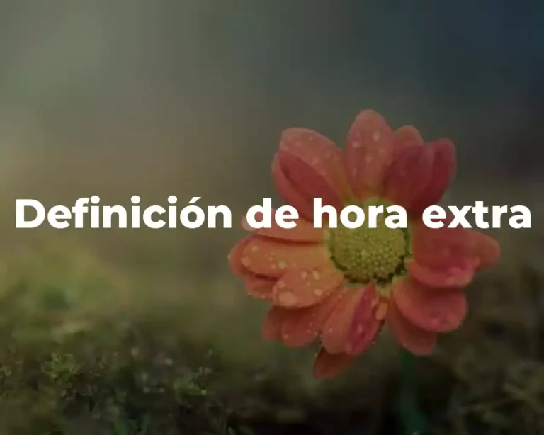 Definición de hora extra