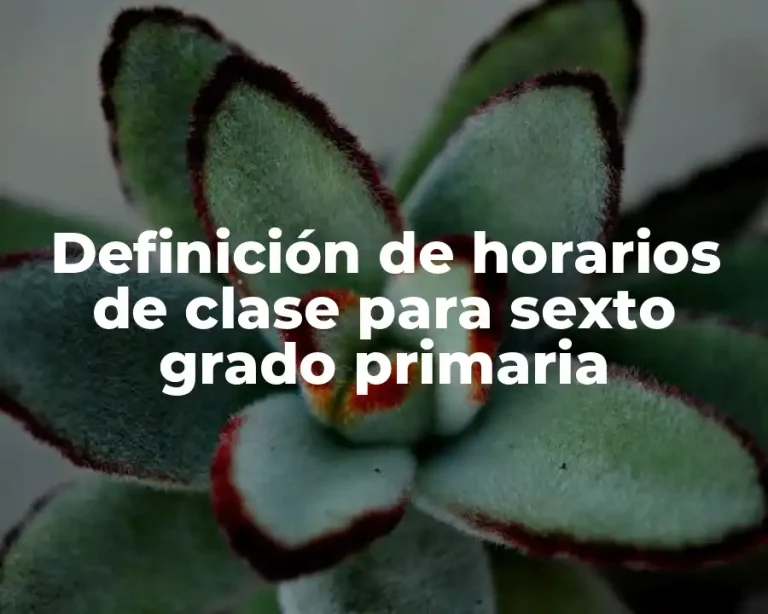 Definición de horarios de clase para sexto grado primaria