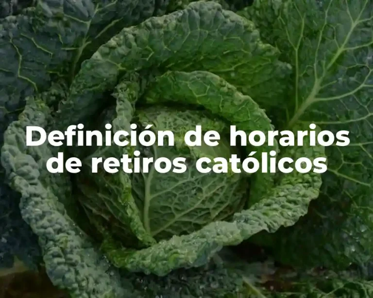Definición de horarios de retiros católicos