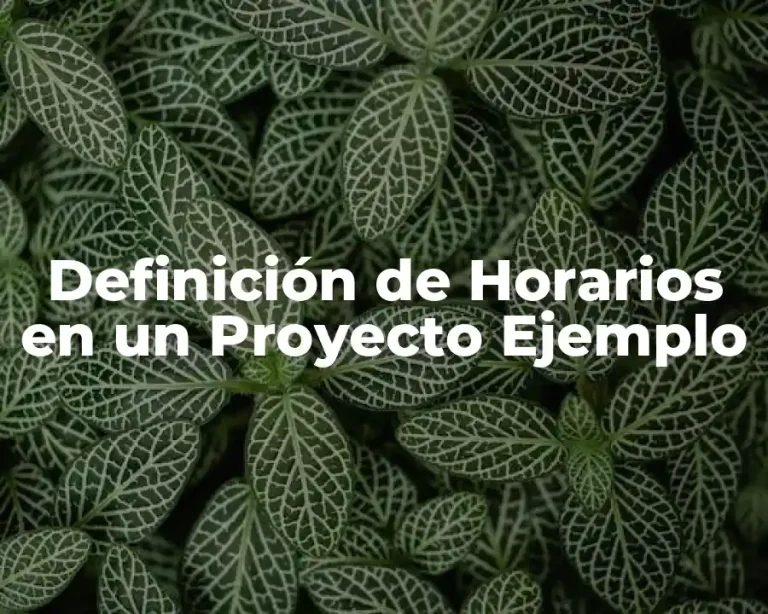 Definición de Horarios en un Proyecto Ejemplo