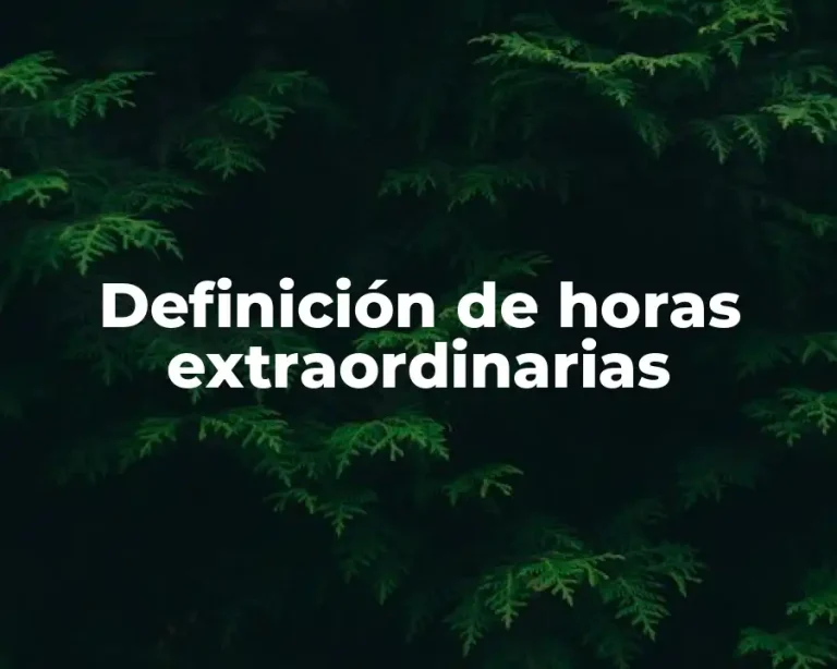 Definición de horas extraordinarias