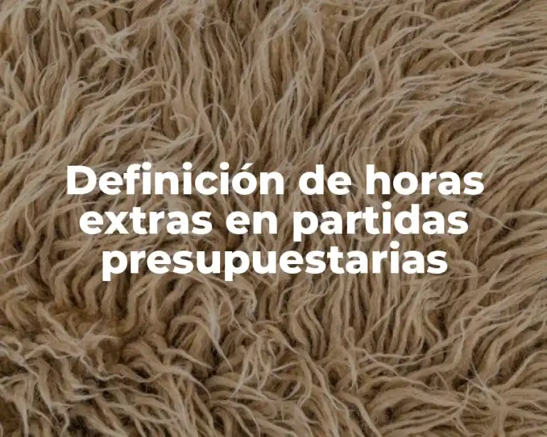 Definición de horas extras en partidas presupuestarias
