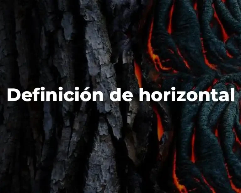 Definición de horizontal