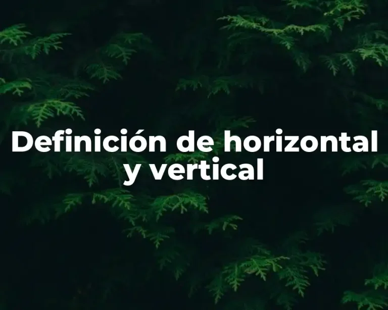 Definición de horizontal y vertical
