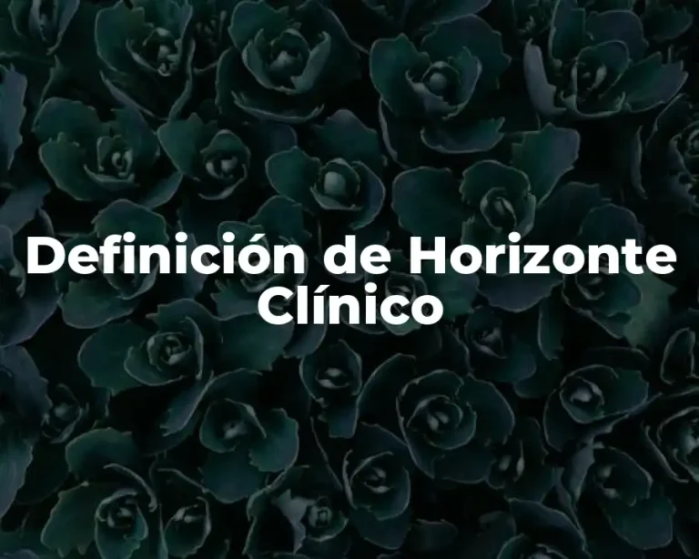 Definición de Horizonte Clínico