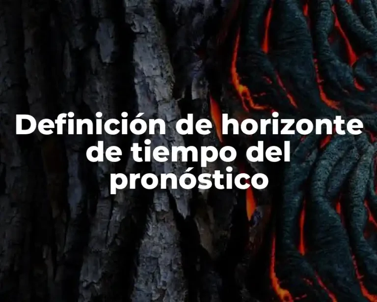 Definición de horizonte de tiempo del pronóstico