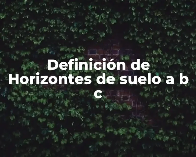 Definición de Horizontes de suelo a b c