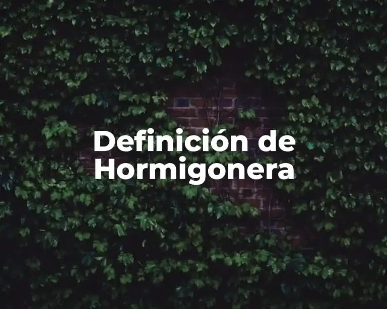 Definición de Hormigonera