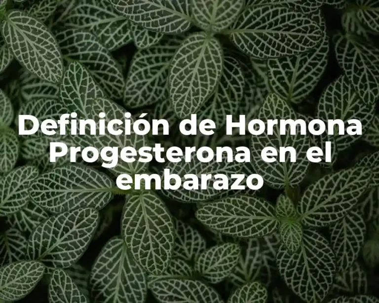 Definición de Hormona Progesterona en el embarazo