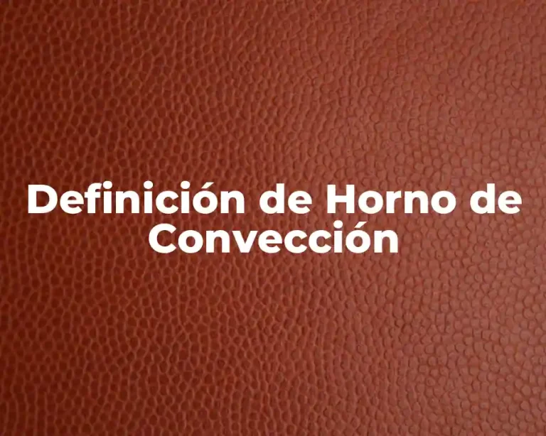 Definición de Horno de Convección