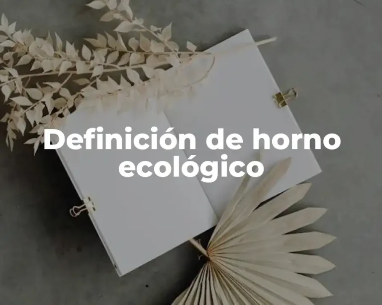 Definición de horno ecológico