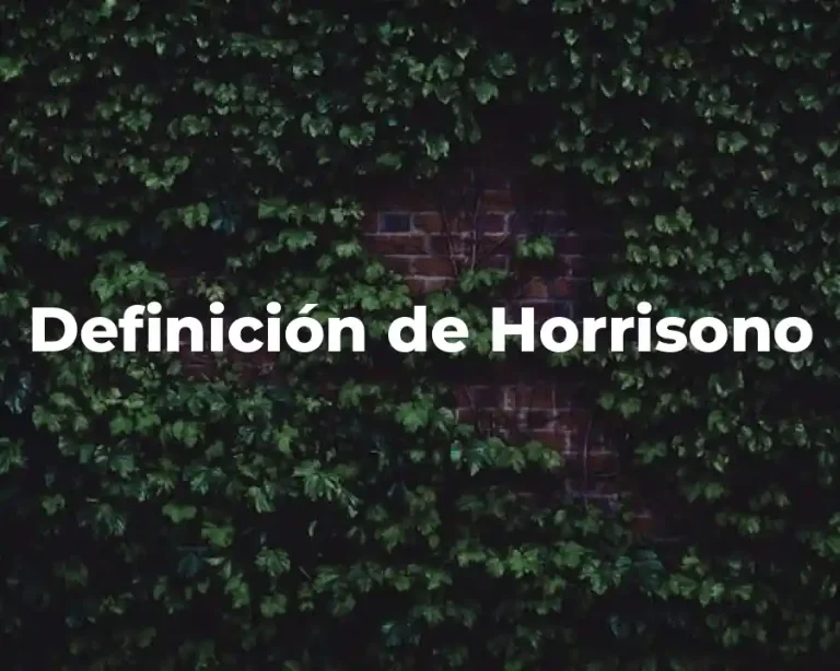 Definición de Horrisono
