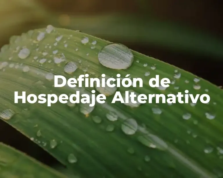 Definición de Hospedaje Alternativo