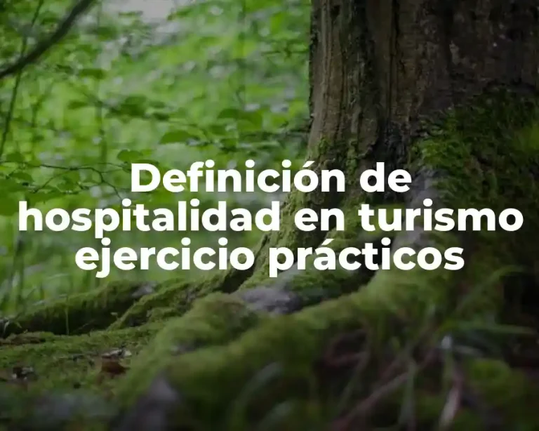 Definición de hospitalidad en turismo ejercicio prácticos