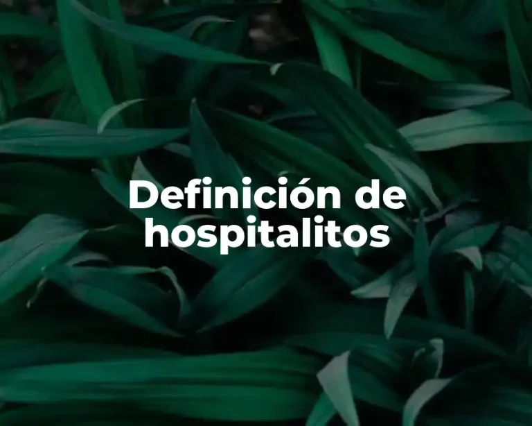 Definición de hospitalitos