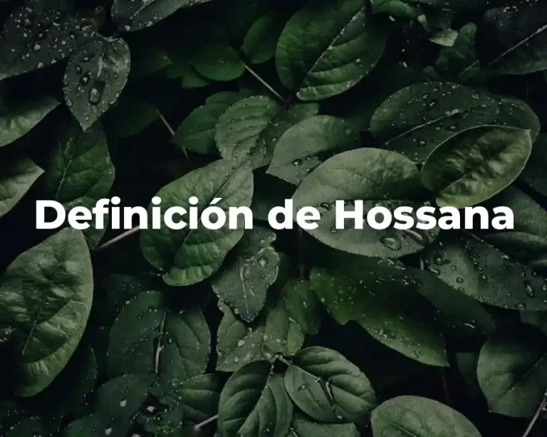 Definición de Hossana