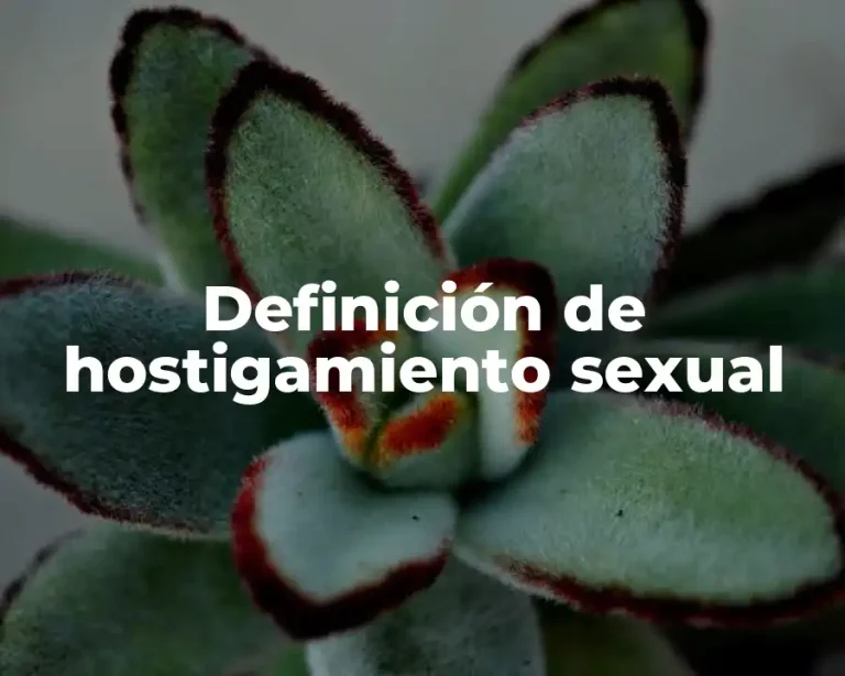 Definición de hostigamiento sexual
