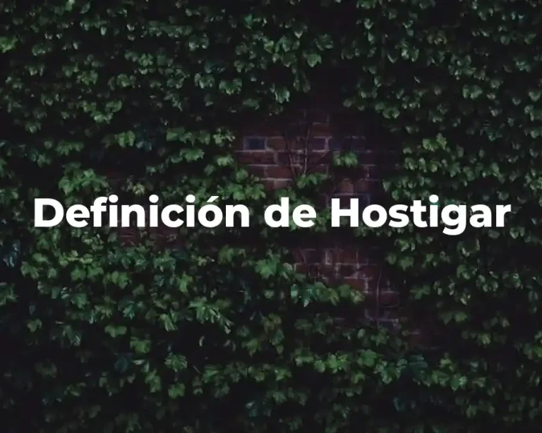 Definición de Hostigar