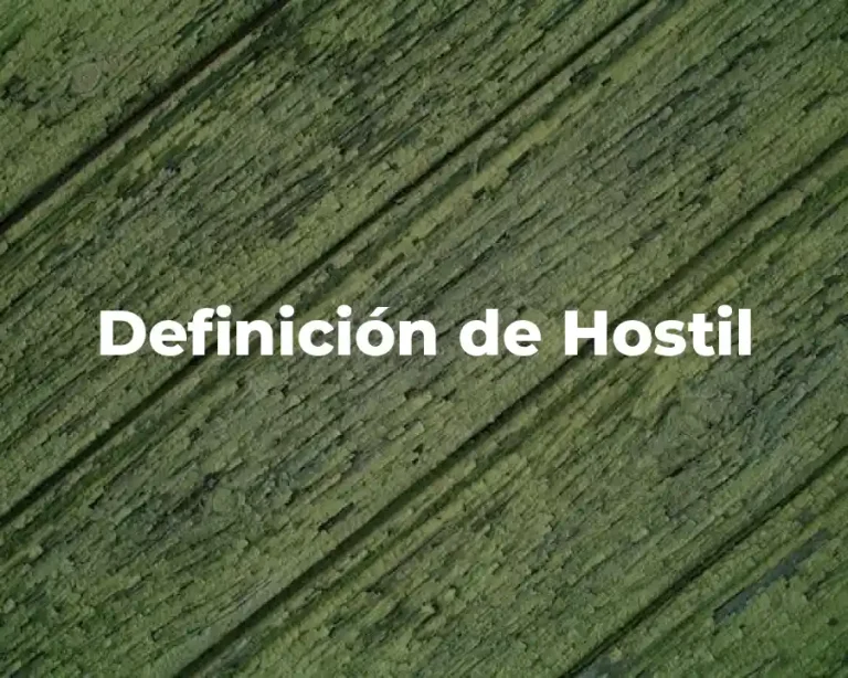 Definición de Hostil
