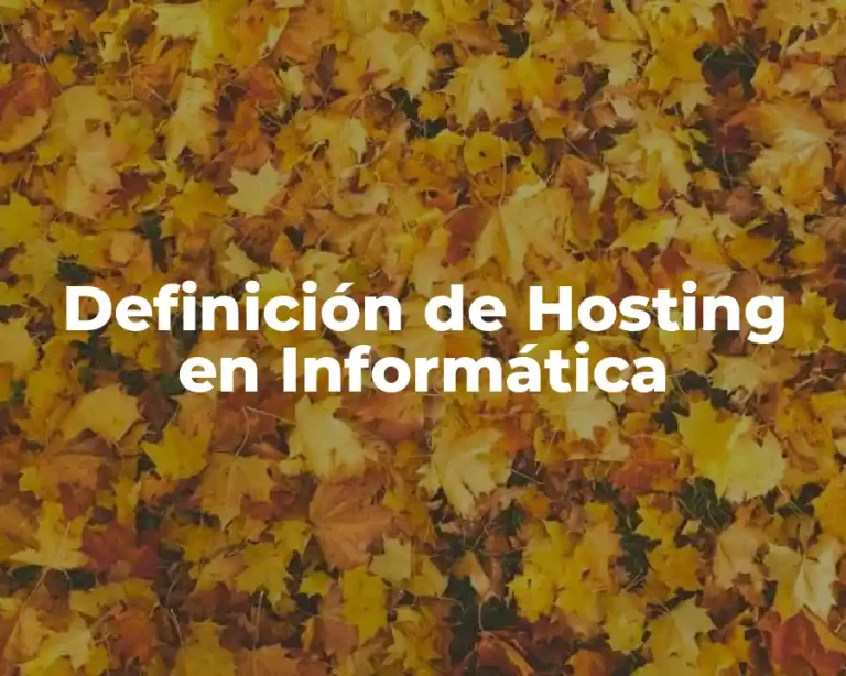 Definición de Hosting en Informática