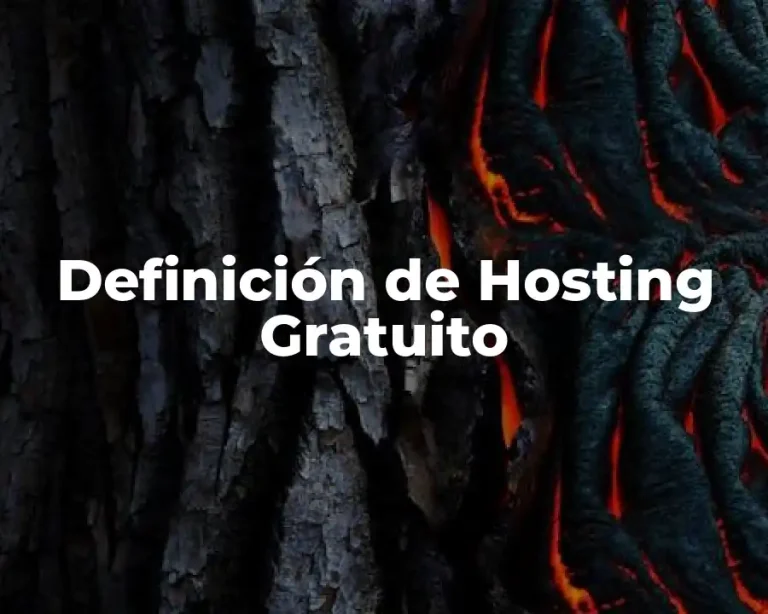 Definición de Hosting Gratuito