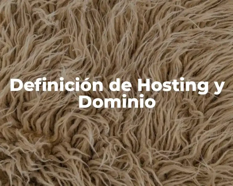 Definición de Hosting y Dominio