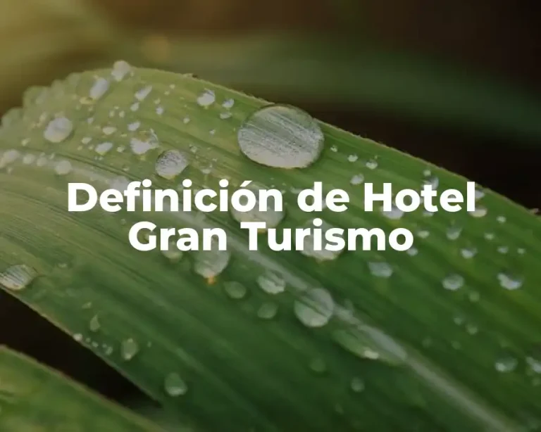 Definición de Hotel Gran Turismo