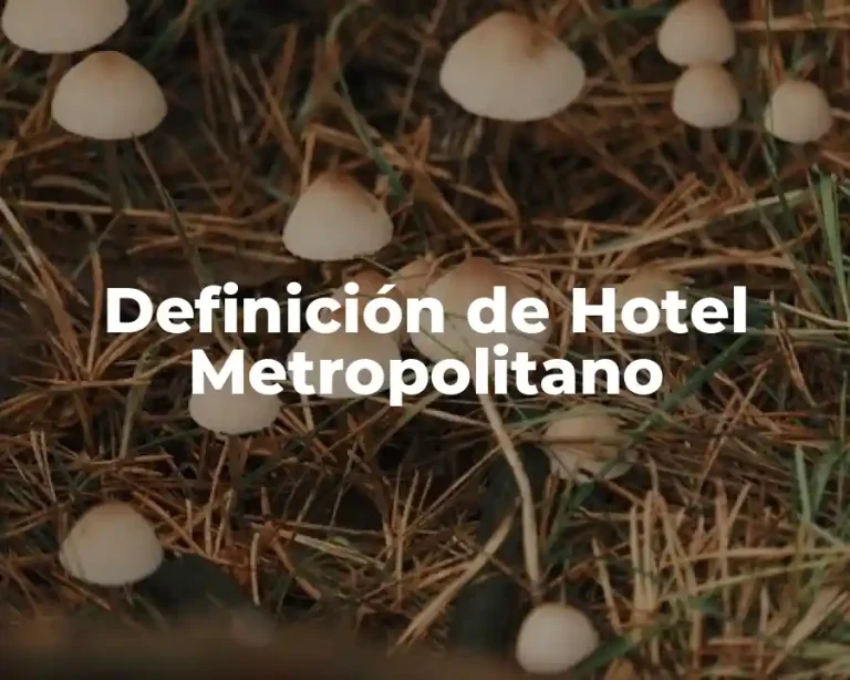 Definición de Hotel Metropolitano