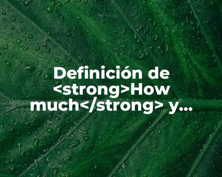 Definición de <strong>How much</strong> y <strong>How many</strong> en inglés