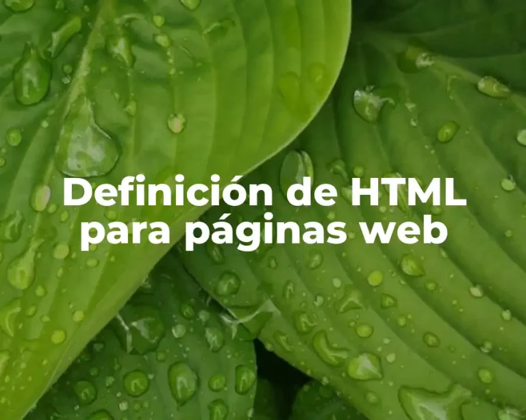 Definición de HTML para páginas web