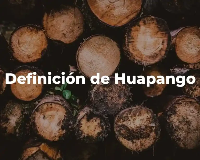 Definición de Huapango