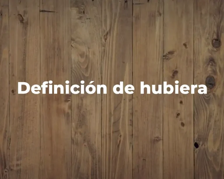 Definición de hubiera