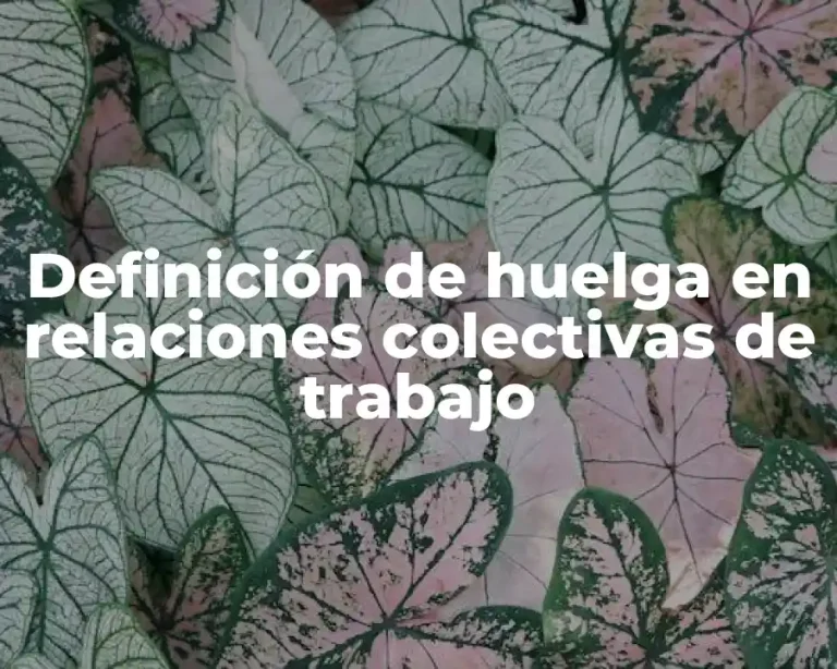 Definición de huelga en relaciones colectivas de trabajo