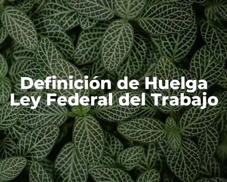 Definición de Huelga Ley Federal del Trabajo